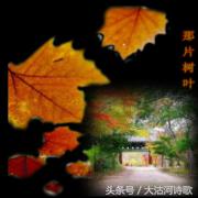 大沽河同题诗《秋月》总汇——56首