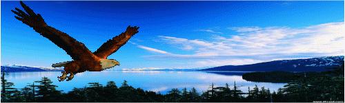 兄弟不要问我过得好不好,不要问我过得好不好原唱