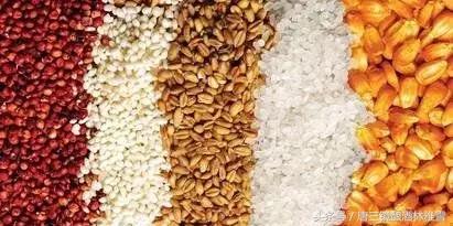 好酿酒设备酿好纯粮酒,酱香型酒厂酿酒设备