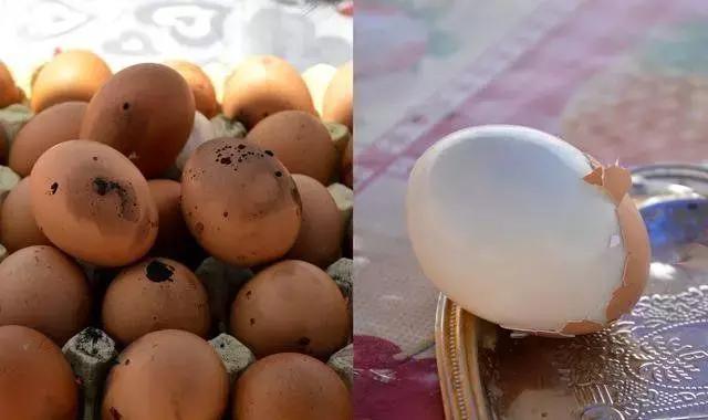 鸡蛋烤着吃和煮着吃,鸡蛋烤着吃会爆炸吗