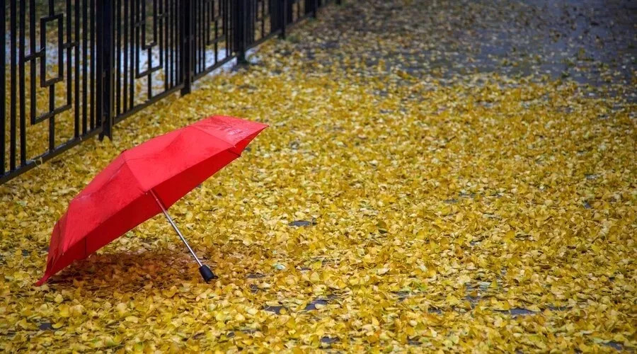 离别的故事经典歌曲,离别的故事原唱完整版