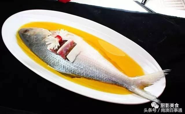 汕头南澳金钱鮸,最贵鮸鱼