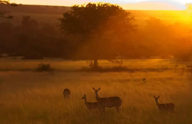 中国全世界最美的人排行榜,世界上最美的国家前十