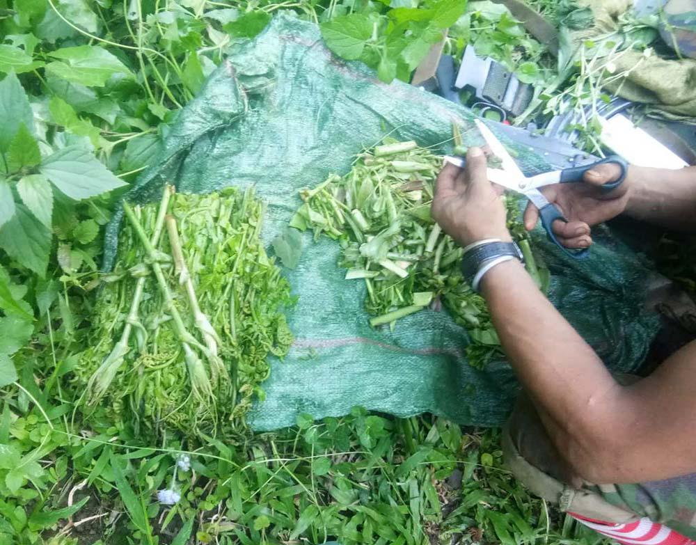 为缅甸的果敢同盟军致敬,向战斗在一线的民兵骨干致敬