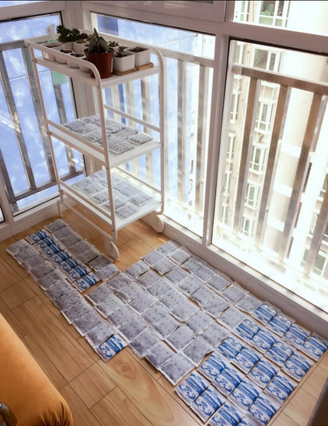 喜刷刷，喜刷刷，嗷呜……油漆刷的我脑壳疼呀脑壳疼