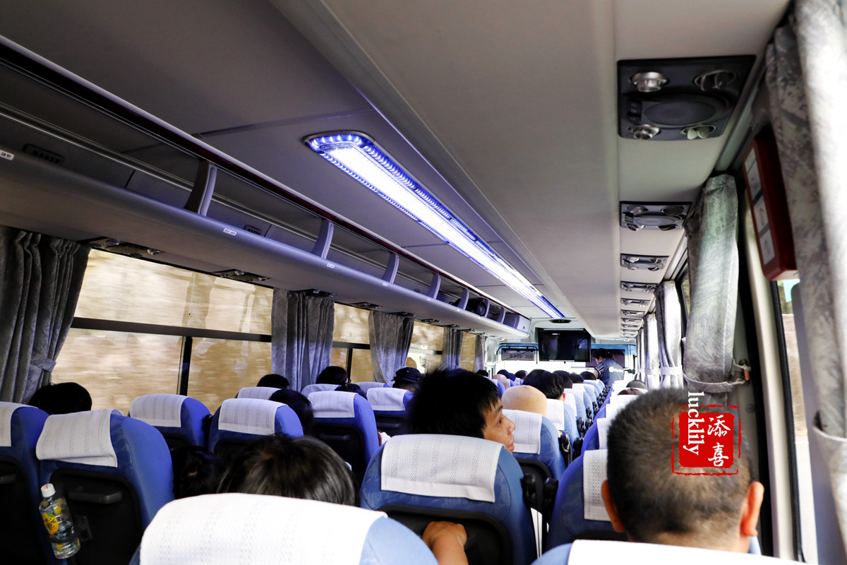 丽星邮轮双子星日本游,亲子游轮旅行攻略