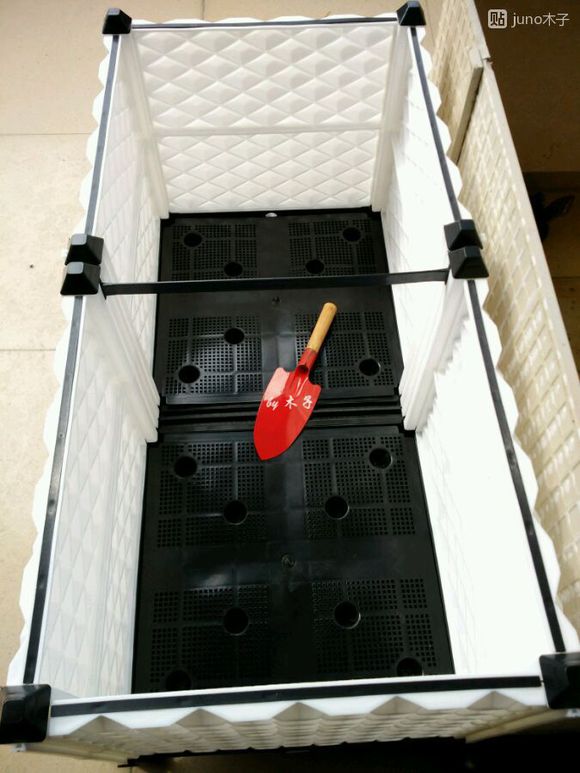 草龟繁殖经验分享孵蛋40天破壳,草龟孵化及幼龟养殖