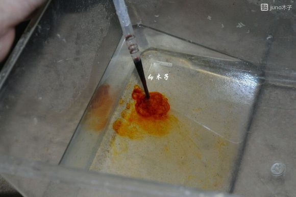 草龟繁殖经验分享孵蛋40天破壳,草龟孵化及幼龟养殖