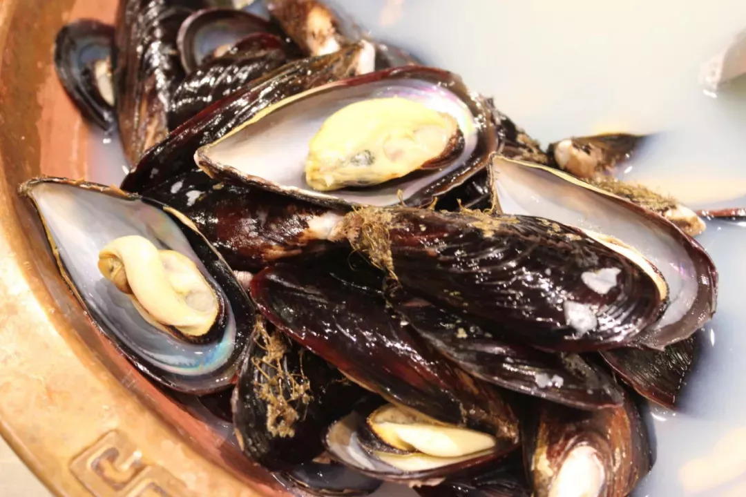 长春好吃的生蚝店推荐,长春88元螃蟹生蚝