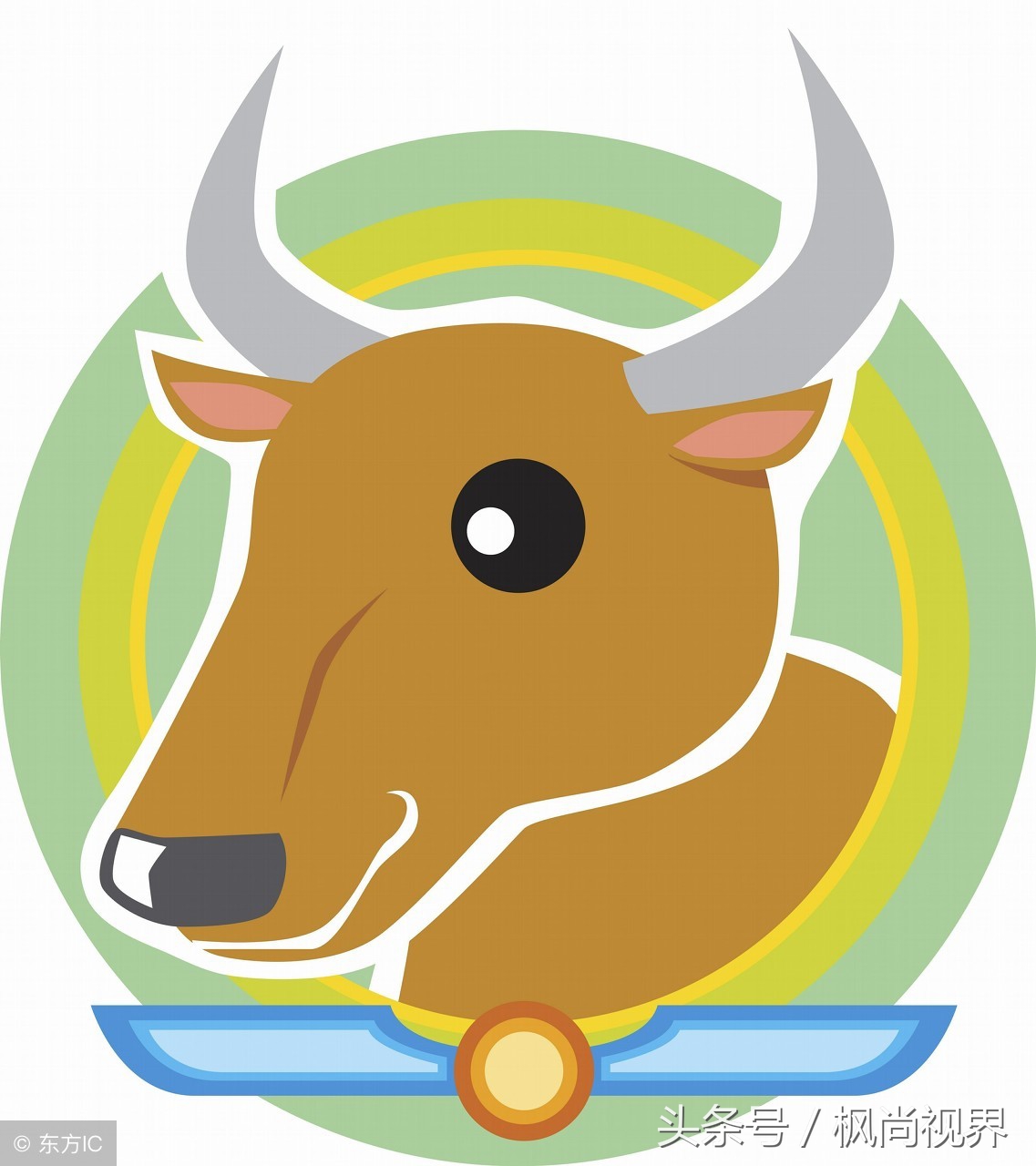 12生肖隐藏的秘密你知道多少,12生肖的各种冷知识