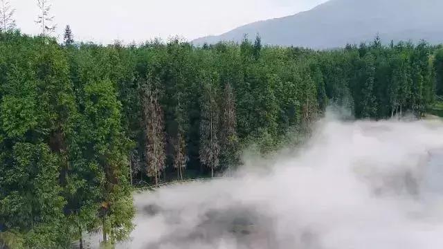 鍥涘窛楂橀搧鐩磋揪宸濊タ鏃呮父鏅偣,鎴愰兘2.5灏忔椂鐩磋揪鍘熷妫灄