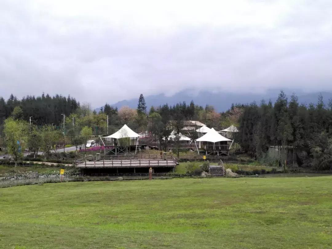 鍥涘窛楂橀搧鐩磋揪宸濊タ鏃呮父鏅偣,鎴愰兘2.5灏忔椂鐩磋揪鍘熷妫灄