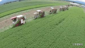 日本农民怎么种地,老农种地真容易