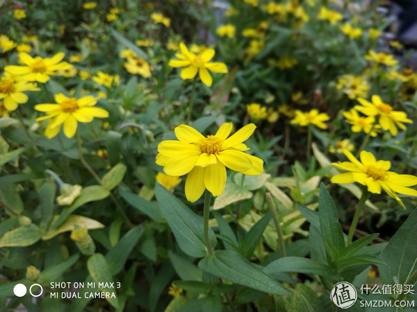 小米max3和荣耀note10该选哪个,小米max3和红米note5对比