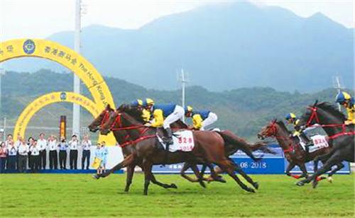 香港赛马会沙田马场,香港从化马场视频