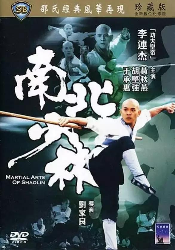 经典武侠电影少林十三棍僧,十大少林电影