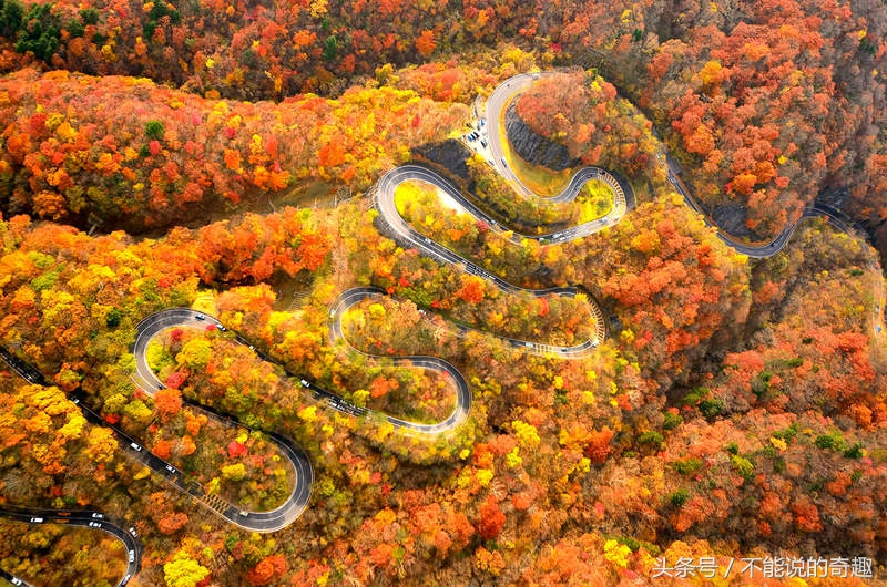 日本头文字d罗森,头文字d公交车过弯