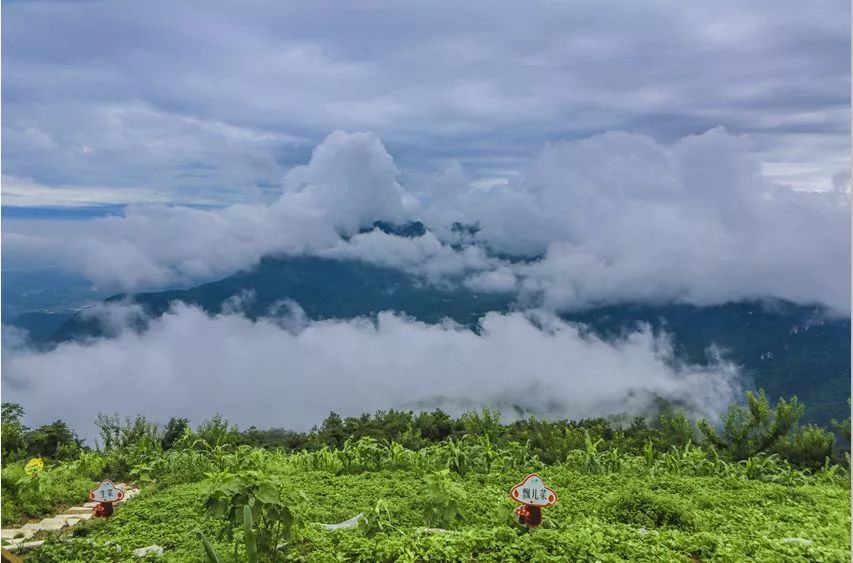九皇山秋天攻略,秋天九皇山可以干嘛
