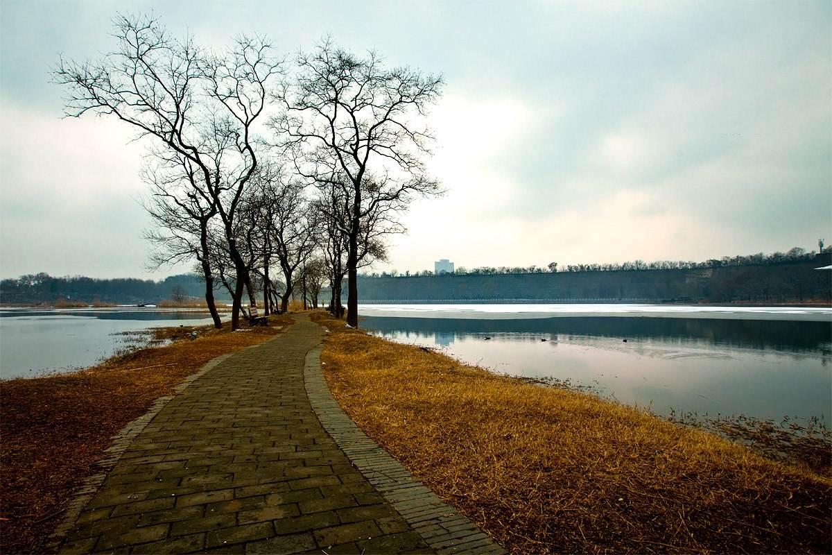 秋天10-20度钓鱼用什么饵料 (秋天自制鲤鱼草鱼饵料)