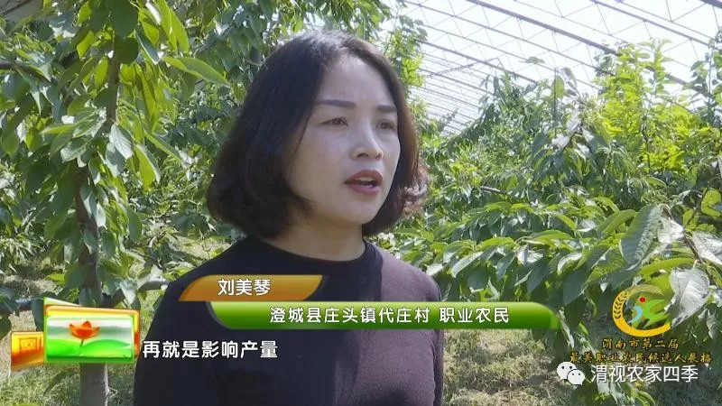 渭南市第二届最美职业农民候选人,渭南最美职业农民候选人