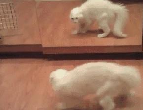 耳机套太小怎么变大,耳机保护套太小怎么变大