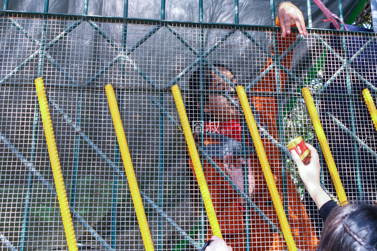 囧叔带你逛逛云南瑞丽那些游客找不到东西新鲜又实惠的市场