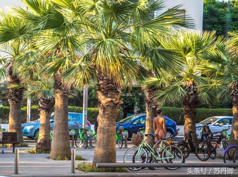 以色列的耶路撒冷参观,以色列耶路撒冷旅游简介