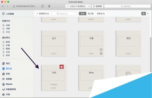 手机必备的几款最流行app,手机必备的实用app有哪些