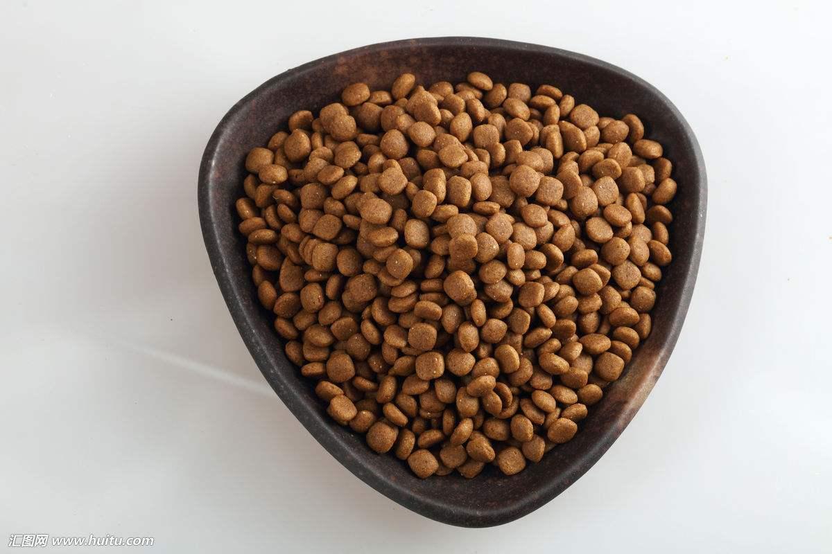 怎么给猫咪挑选合适的猫粮,猫咪适合吃的猫粮家趣猫粮