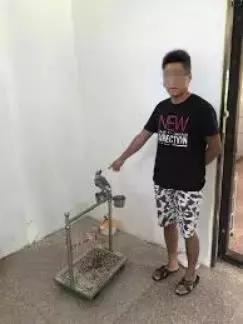 2020年澳洲代购奶粉违法吗,澳洲奶粉代购陷阱