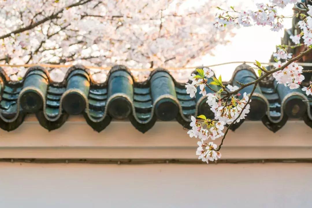 从家庭主妇逆袭成店长,从家庭主妇的华丽蜕变