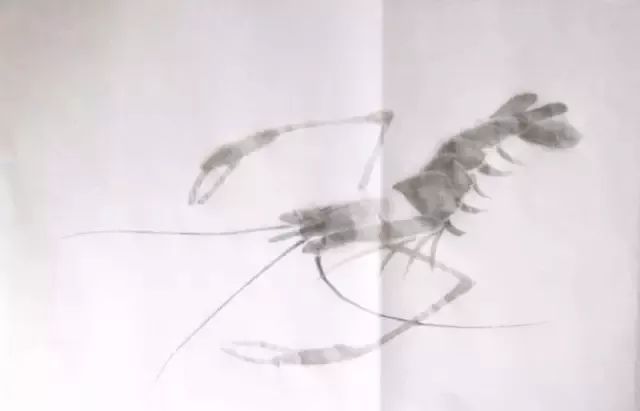简单方法画虾,怎样画虾教学视频