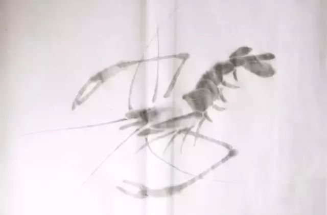 简单的画虾教程儿童,最简单的画虾的方法