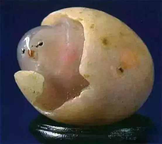 这头头猪火了！鹅蛋大小1亿3千9百万，翡翠第一个不服！