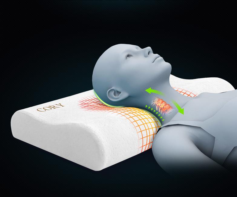 鲨鱼不吃人的危害,鲨鱼不吃人真的吗