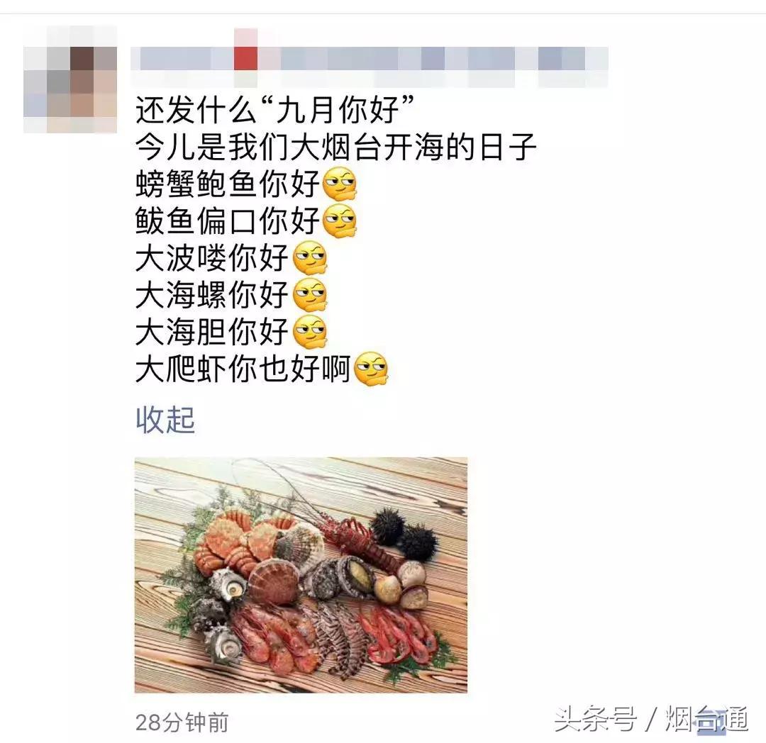 烟台开海现场直播视频,开海现场视频直播