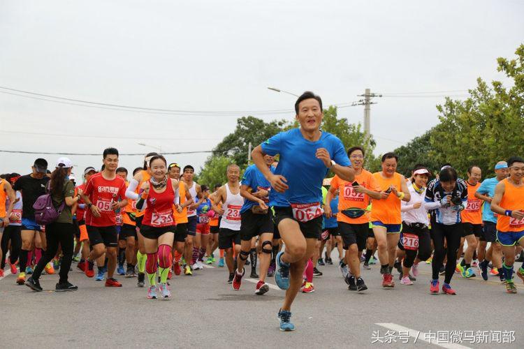 艰辛而难忘的人祖马记忆