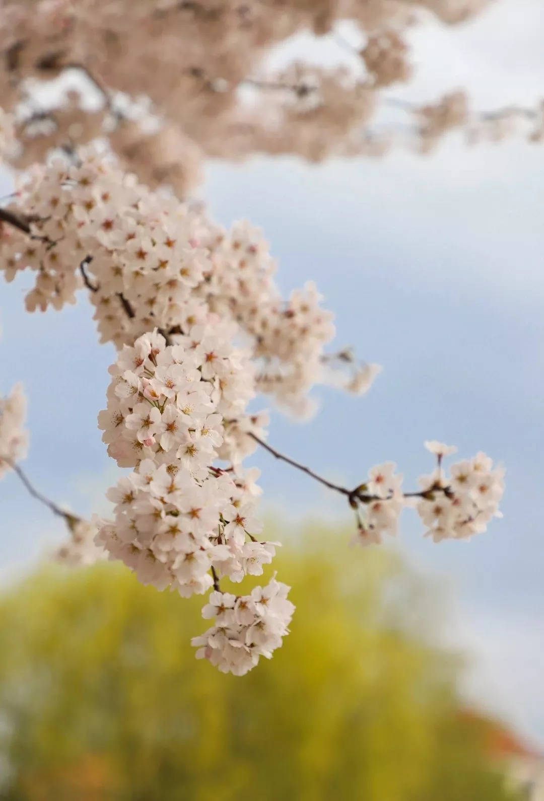 原来你是这样的海军陆战队,原来你是这样的英文