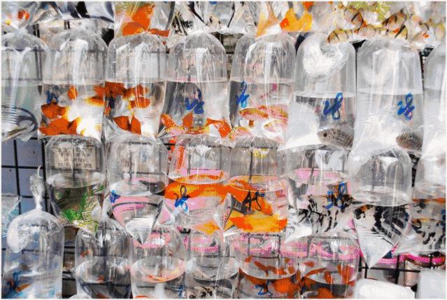 定了！福建到香港动车9月10日起售票！每天4趟！