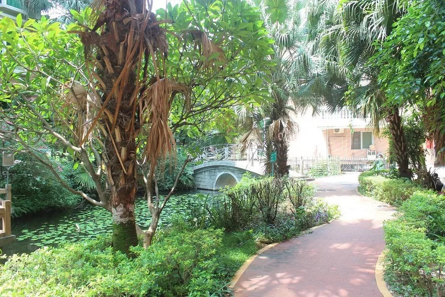 高明彩云间司法拍卖,佛山高明法院拍卖的房子