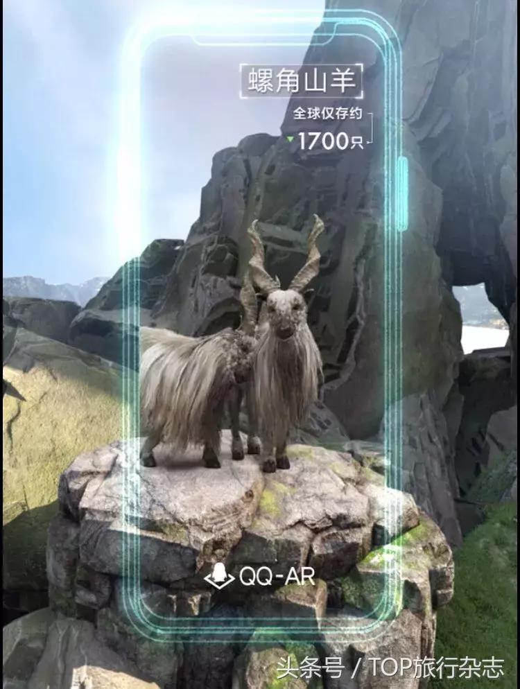 开着车到野外然后看见大象在迁徙,开着皮卡车去寻宝