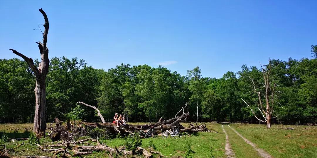 荷兰自由行旅游攻略大全,荷兰自由行三日游攻略