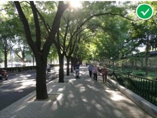 「交通看点」建设“完整林荫道”——步行和自行车交通环境设计建设图集亮点介绍（一）