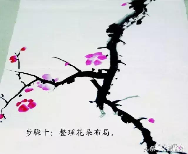 梅花花朵的国画画法视频,大写意梅花枝干国画画法