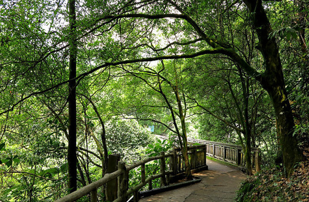 肇庆鼎湖推荐景点自驾游免费,鼎湖山是北回归线的绿宝石