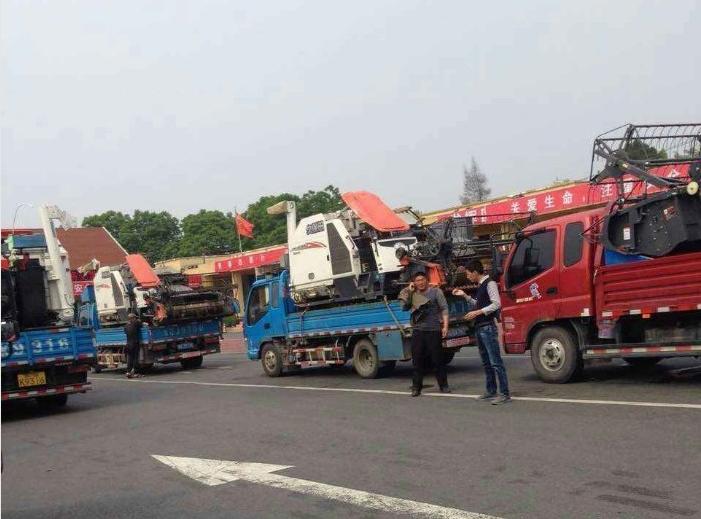 特殊的卡车人！向奋战在一线的收割机大军致敬