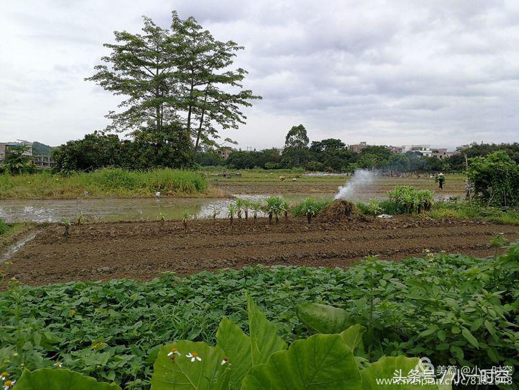 故人具鸡黍邀我至田家邀的意思,故人具鸡黍邀我至田家什么意思