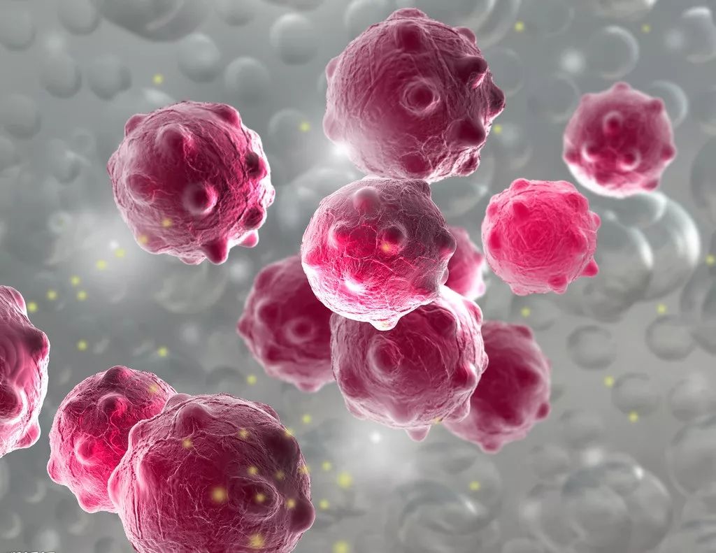 英镑暴跌至五十年新低影响,英镑暴跌需要多少资金