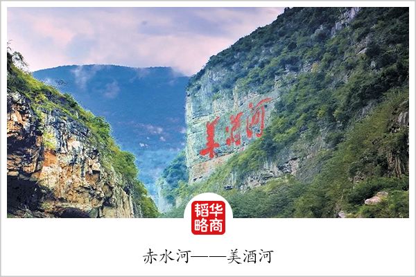 长盛不衰的茅台,风口上