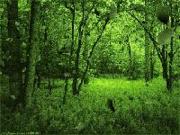 小学语文五年级成语大全,小学语文1-6年级必考成语